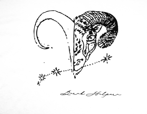 Barak Halpern T-shirt