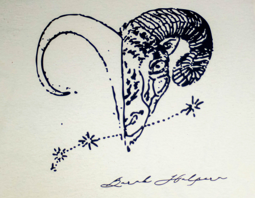 Barak Halpern T-shirt